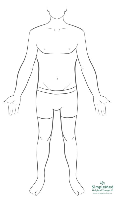 blank anatomical position diagram print exercise   language