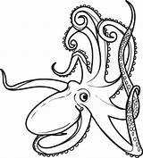 Coloring Octopus Pages Squid Color Printable Colouring Kids Drawing Print Mandala Outline Realistic Clipart Sheets Ocean Animal Rabbit Oswald Lucky sketch template