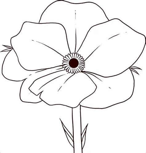 poppy coloring pages  printable word  png jpeg eps format