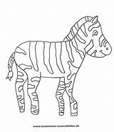 Zebra Zebras Ausmalen Ausmalbild Malvorlagen Ausdrucken Malvorlage Vorheriges sketch template