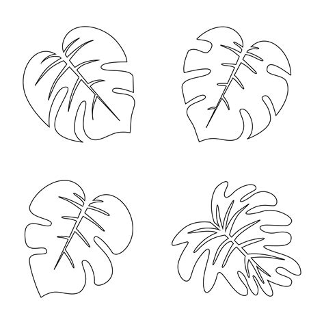 palm leaf template cut