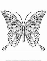 Mandala Mariposas Zentangle Vlinders Farfalle Moeilijk Schmetterling Schmetterlinge Ausmalbilder Supercoloring Colorare Ausmalbild Mandalas Schwer Vlinder Templates Sheets Insectos sketch template