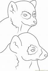 Lemur Coloring Ring Tailed Face Pages Getcolorings Getdrawings Color Coloringpages101 sketch template