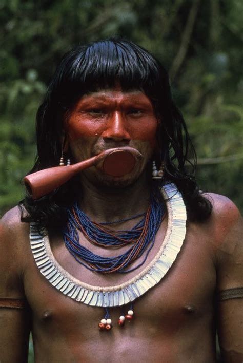 109 Best Yanomami Kayapo Tribe Images On Pinterest Latin