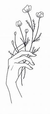 Flowers Holding Line Drawing Drawings Flower Minimalist Simple Sketches Designs Humans Designbyhumans Freedom Tattoos sketch template