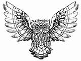 Owl Coloring Pages Drawing Owls Printable Raw Advanced Kids Adults Animals Print Color Book Children Justcolor Incredible Beautiful Adult Burrowing sketch template