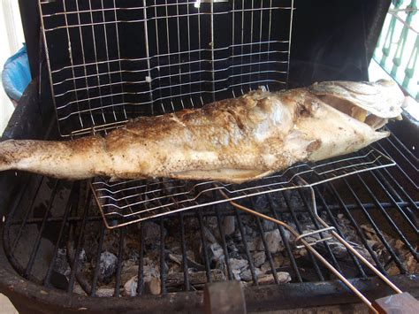 Charcoal Grilled Sea Bass Summer Is Approaching