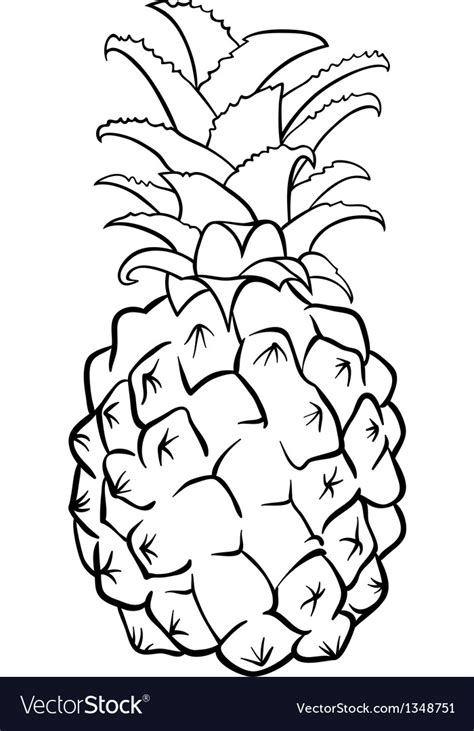 pineapple fruit  coloring book royalty  vector image