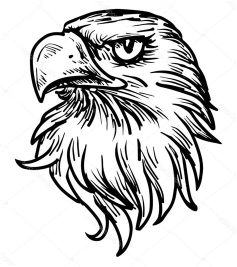 eagle head clip art   cliparts  images  clipground