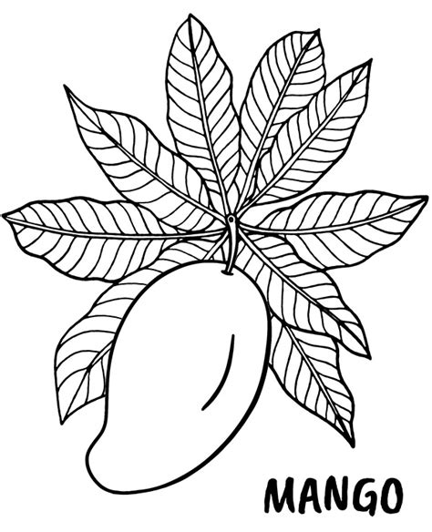 printable mango coloring page fruits topcoloringpagesnet