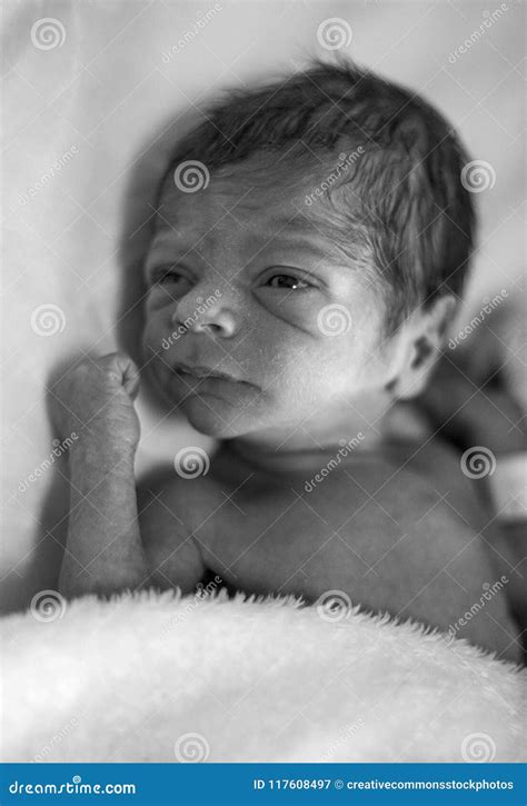 grayscale photo  newborn baby picture image