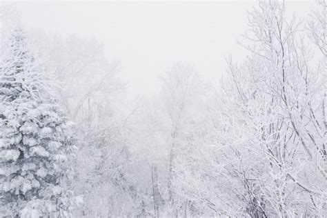 Snowy Vermont – Mutelife