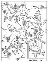 Birds Nest Verbnow Flock Hatchlings Three sketch template