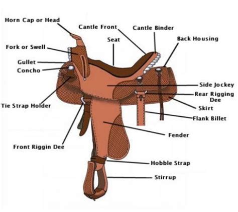 parts   saddle horse saddles horse camp horse