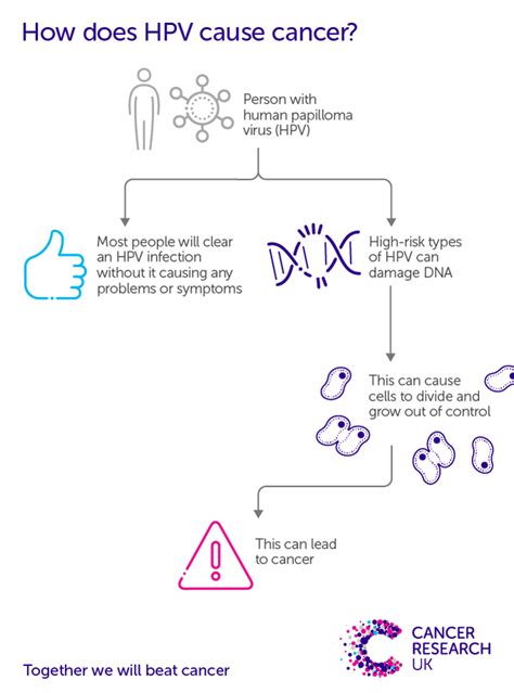hpv  cancer cancer research uk