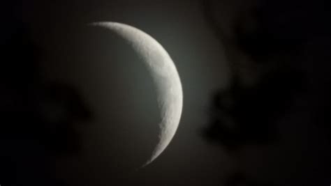 crescent moon  trees smithsonian photo contest smithsonian