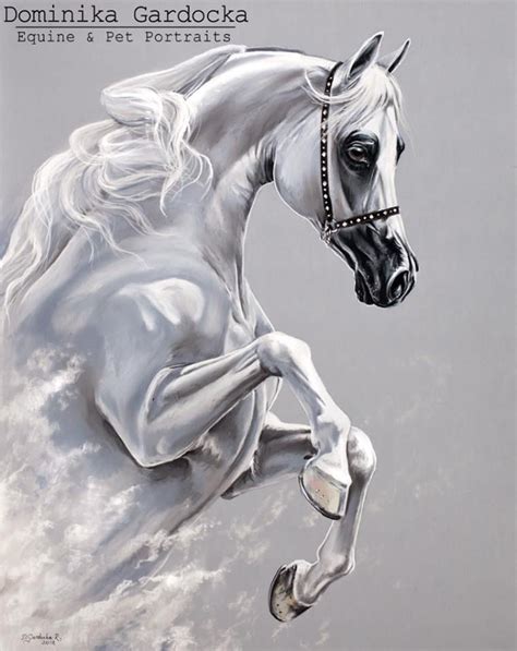 wh york arabian arabian horse art horse portraits horse art