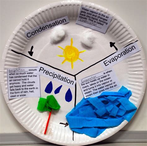 water cycle paper plates activities    actvity