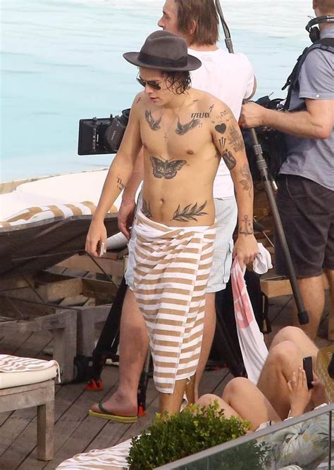 One Direction Star Harry Styles Exposes New Fern Tattoo
