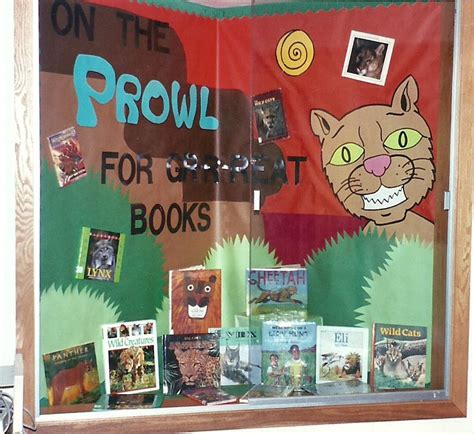 Big Cat Library Book Display Library Book Displays Book