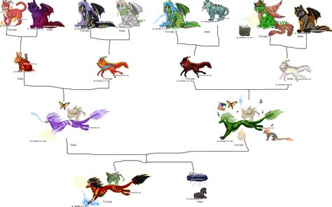 dragon family tree  alianna  deviantart