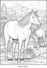 Desenhos Cavalo Dover Doverpublications Colorir Youngandtae Atividadesparaprofessores sketch template