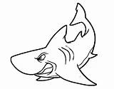 Shark Angry Coloring Colorear Coloringcrew sketch template