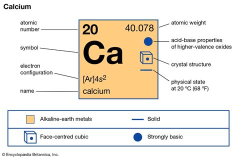 calcium definition properties compounds britannica