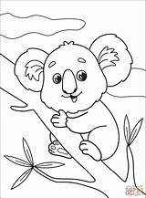 Koala Supercoloring Source sketch template