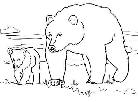 promenade bears  cubs kids coloring pages