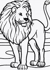 Ausmalbilder Löwe Ausmalen Tiere Ausmalbild Artikel Malvorlagen Zum Löwen Lowe Und Von Malen sketch template