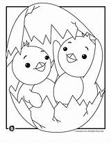 Coloring Pages Baby Chicks Chicken Chickens Cliparts Chick Animal Printable Print Kids Clipart Ugly Duckling Little Jr Printer Send Button sketch template