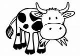 Mucca Disegno Kuh Vaca Colorear Vache Animada Mange Vacas Malvorlage Lherbe Stampare Educima Scarica sketch template