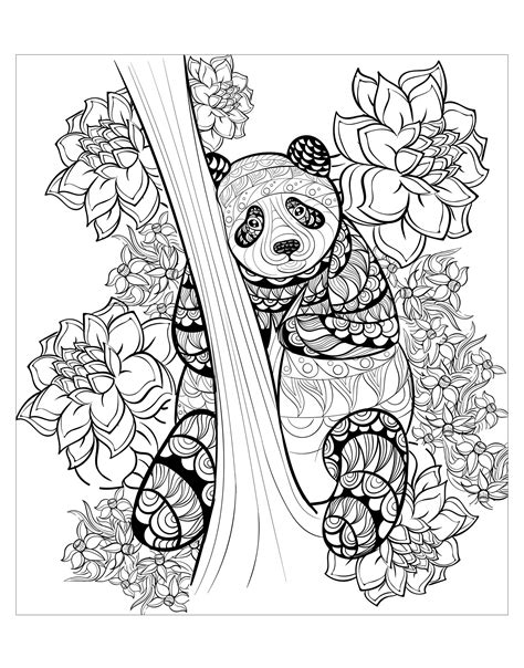 pandas  print   pandas kids coloring pages