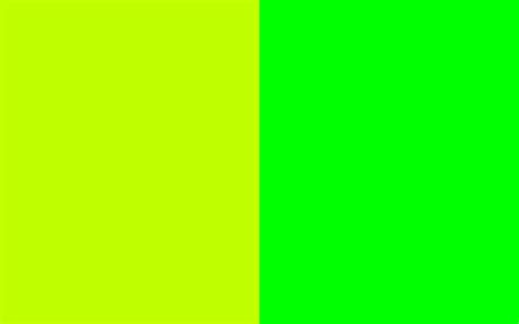lime green background  images