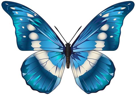 blue butterfly images clipart    clipartmag