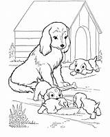 Colorir Cachorro sketch template