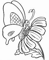 Motyle Kolorowanki Coloriage Papillon Schmetterling Kolorowania Owady Mariposas Ausmalbilder Dessin Obrazki Motylami Imprimer Najpiękniejsze Dzieci sketch template