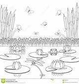 Coloring Swamp Pond Plants Vector Nature Drawings 1300 83kb sketch template