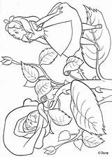 Coloring Pages Alice Wonderland Crush Squirt Maleficent sketch template