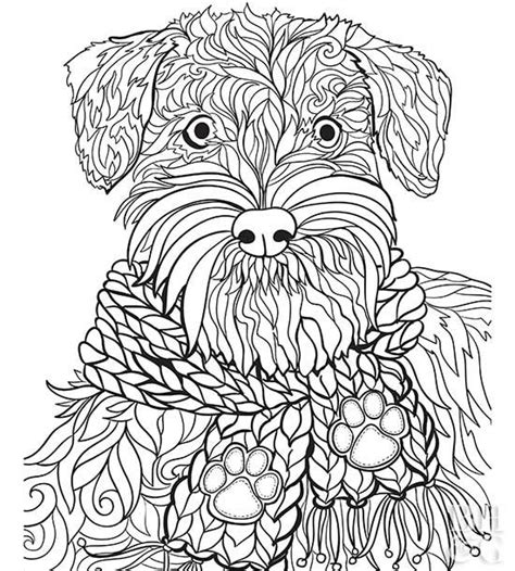 pet coloring pages  dog  cat owners puppy coloring