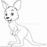Kangaroo Getdrawings sketch template