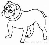 Coloring Bulldog Dog Pages Breed Breeds sketch template