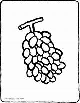 Ausmalbild Trauben Auswählen Tros Druiven sketch template