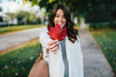 sweater weather with loft sweaters for fall sequins