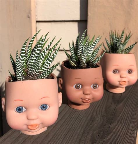 Creepy Cute Doll Head Planter With Real Haworthia Succulent Etsy