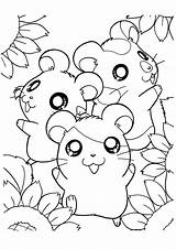 Hamsters Hamtaro sketch template