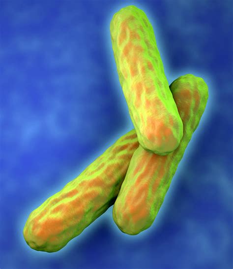 tuberculosis bacteria photograph  roger harris pixels