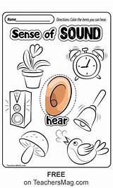 Senses Activity Poster Teachersmag Downloadable Set Craft Even Click sketch template