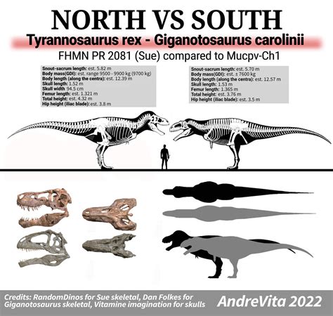 tyrannosaurus giganotosaurus size comparison  jokerlucille